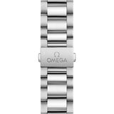 38mm Aqua Terra 150M Steel Green Dial Auto