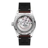 41mm 300M Master Chronometer Brown Strap Black Dial