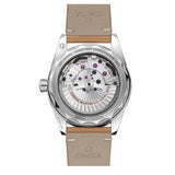 41mm 300M Master Chronometer Brown Strap Blue Dial