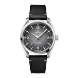 38mm Railmaster 150M Black Strap Grey Dial