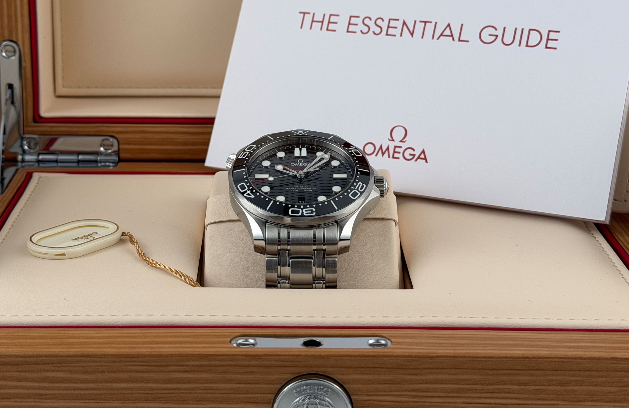 Omega Seamaster Diver 300m Steel 42mm Black Dial 210.30.42.20