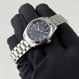 34mm Aqua Terra 150M Steel Lavender Dial