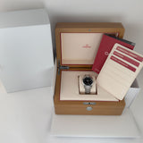 38mm Aqua Terra 150M Steel Black Lacquered Dial