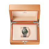42mm Diver 300M Master Co-Axial Titanium & Bronze Gold Green Dial