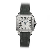 40mm Large Titanium Silver Dial