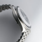 42mm Moonwatch Professional Hesalite Caliber 3861