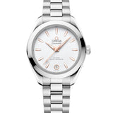 30mm Aqua Terra 150M Steel Bracelet Silver Dial