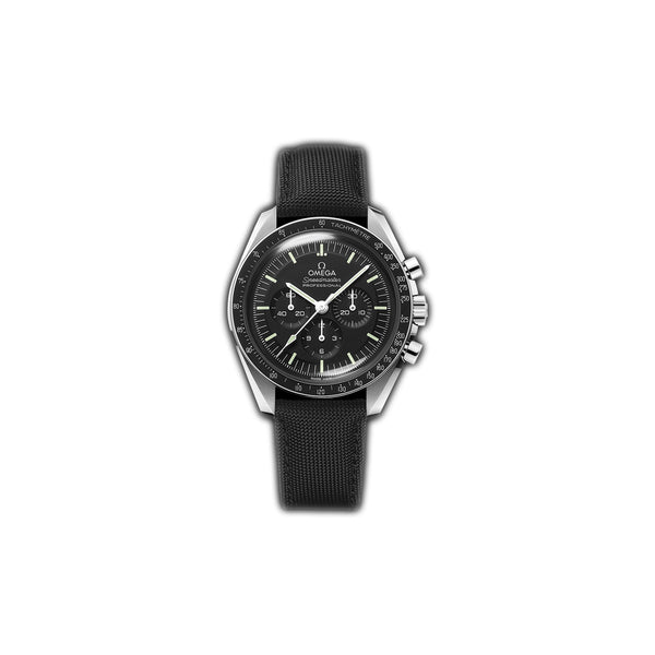 Omega hesalite moonwatch best sale