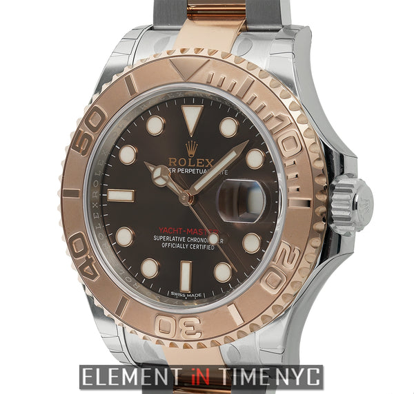 Stainless Steel Everose Gold Bezel 40mm Chocolate Dial