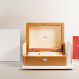 41mm Aqua Terra 150m Co-axial Master Chronometer Small Seconds Silvery Blue