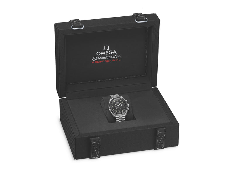 42mm Moonwatch Professional Hesalite Caliber 3861