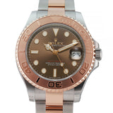 37 Steel and 18k Everose Gold Chocolate Brown Dial